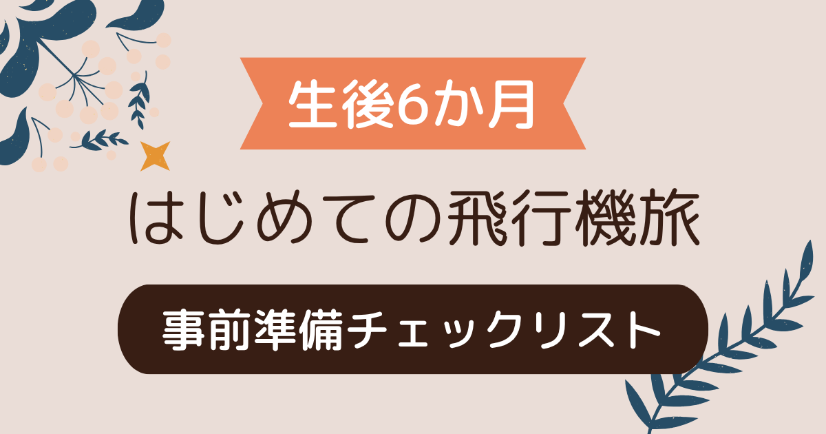 【生後6か月】息子とはじめての飛行機旅｜事前準備リスト